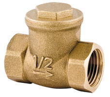 Check Valve